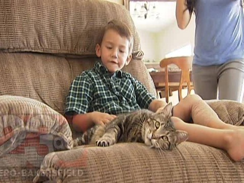 幼児を猛犬から救う猫：子供と猫のタラちゃん